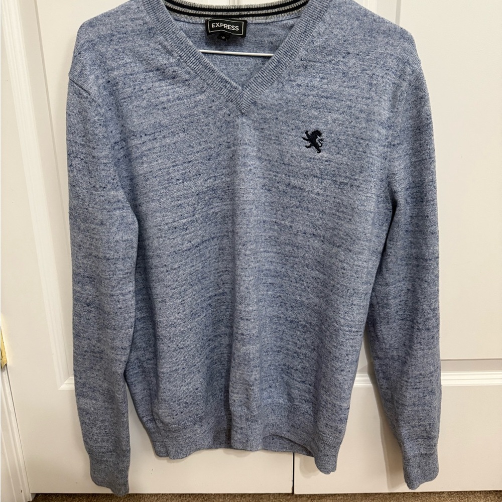 Express Blue V-Neck Sweater